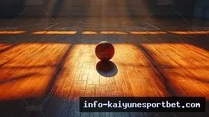 运动会员登录界面